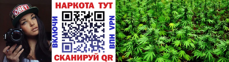 Купить закладку Гашиш Alpha PVP Мефедрон АМФ КОКАИН Каннабис Лениногорск